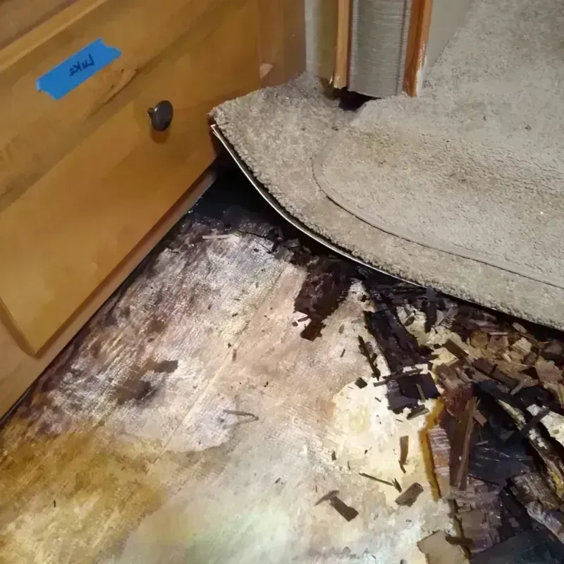 Wood Floor Water Damage in Cowley County, KS